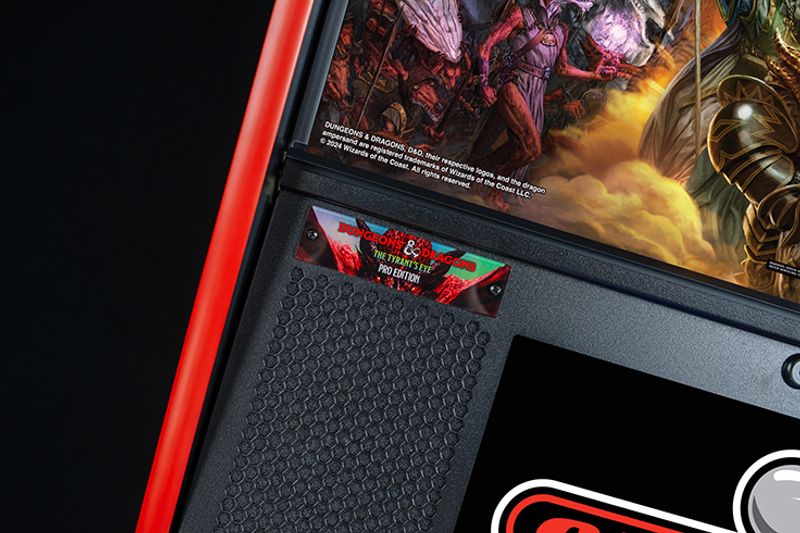 Dungeons & Dragons Pro Edition